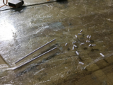 Mini Dart - 1m DLG 25159-0