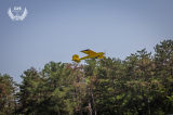 IMG_2348.jpg 33702-16